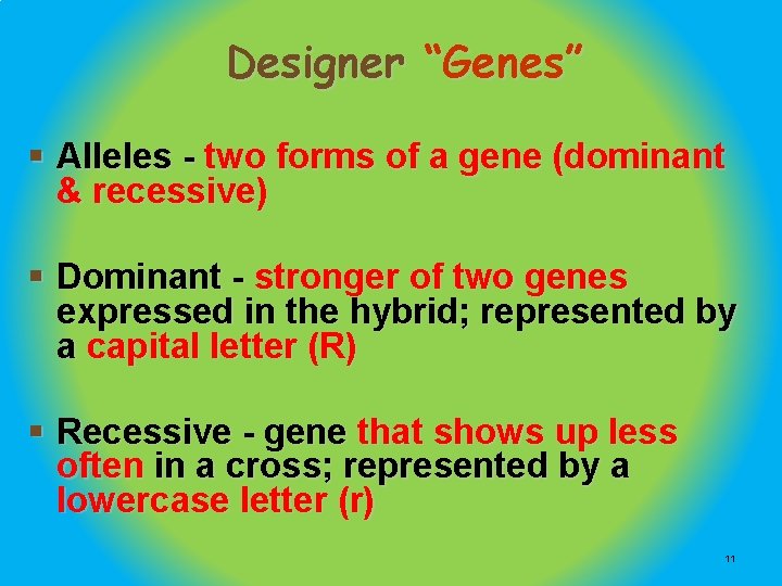 Designer “Genes” § Alleles - two forms of a gene (dominant & recessive) §