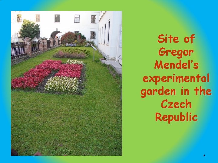 Site of Gregor Mendel’s experimental garden in the Czech Republic 5 