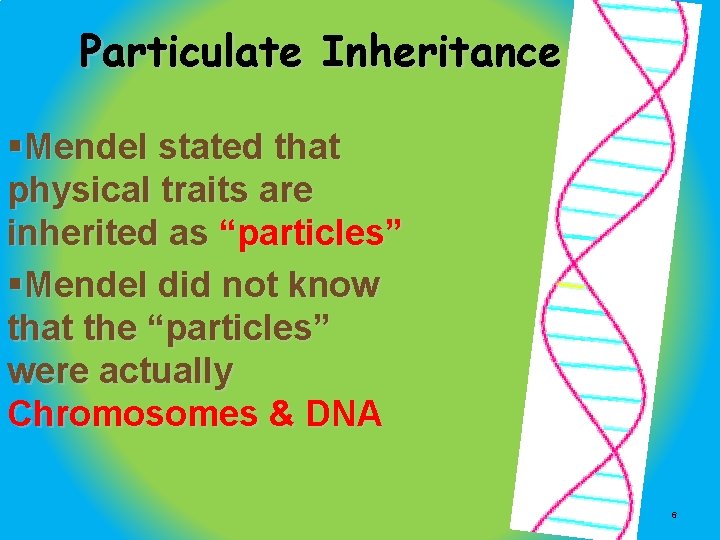 Particulate Inheritance §Mendel stated that physical traits are inherited as “particles” §Mendel did not