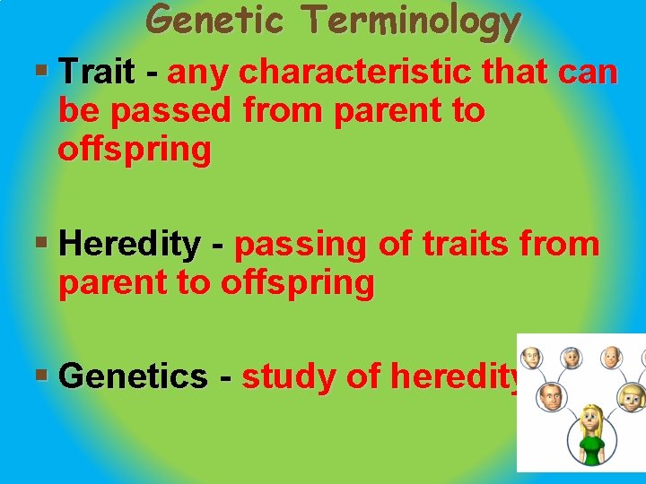 Genetic Terminology § Trait - any characteristic that can be passed from parent to