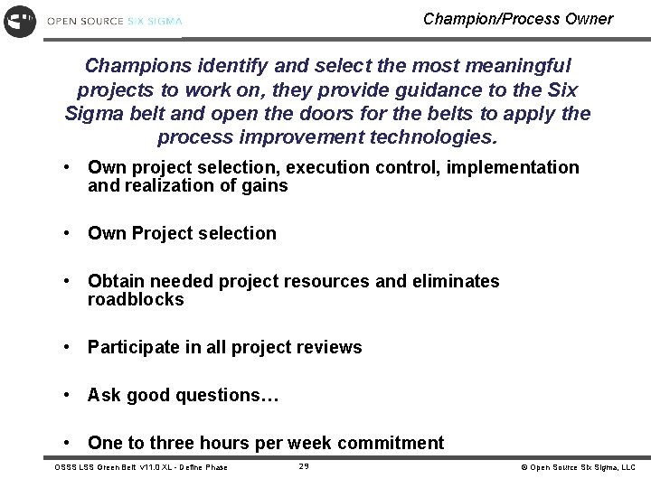 Champion/Process Owner Champions identify and select the most meaningful projects to work on, they