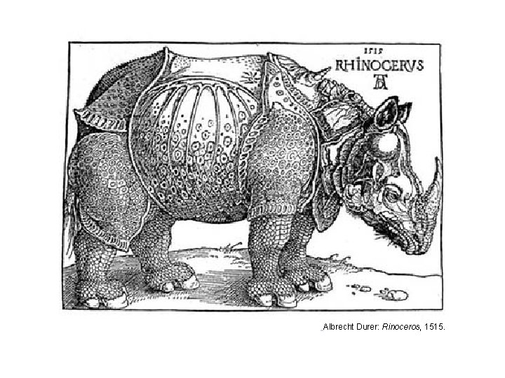 Albrecht Durer: Rinoceros, 1515. 