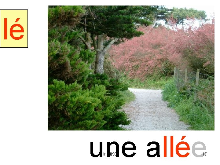 allée lé une allée instit 90 17 