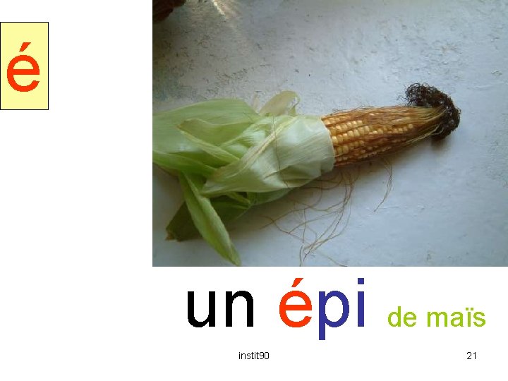 épi é un épi de maïs instit 90 21 