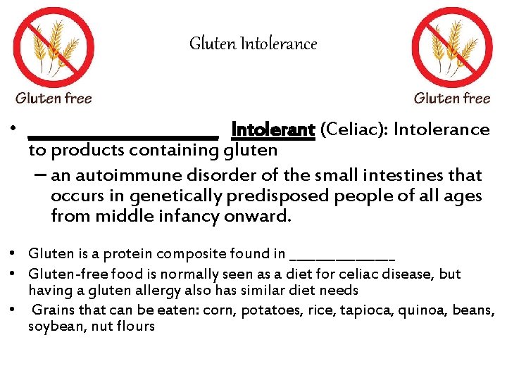 Gluten Intolerance • ____________ Intolerant (Celiac): Intolerance to products containing gluten – an autoimmune