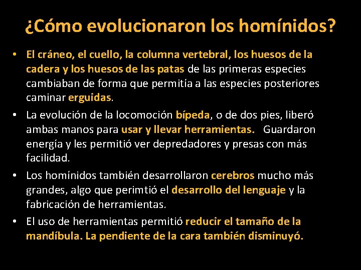 ¿Cómo evolucionaron los homínidos? • El cráneo, el cuello, la columna vertebral, los huesos