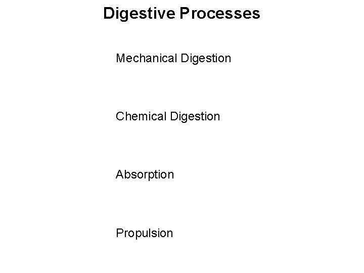 Digestive Processes Mechanical Digestion Chemical Digestion Absorption Propulsion 