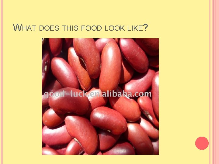 WHAT DOES THIS FOOD LOOK LIKE? WHAT DOES THIS FOOD LOOK LIKE?