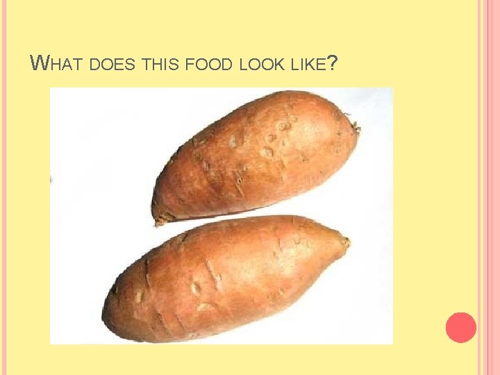 WHAT DOES THIS FOOD LOOK LIKE? WHAT DOES THIS FOOD LOOK LIKE?