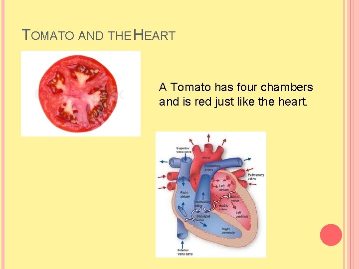TOMATO AND THE HEART A Tomato has four chambers and is red just like TOMATO AND THE HEART A Tomato has four chambers and is red just like