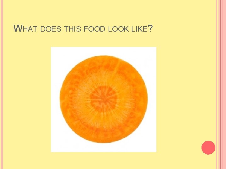 WHAT DOES THIS FOOD LOOK LIKE? WHAT DOES THIS FOOD LOOK LIKE?