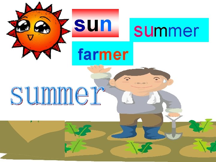 sun summer farmer 