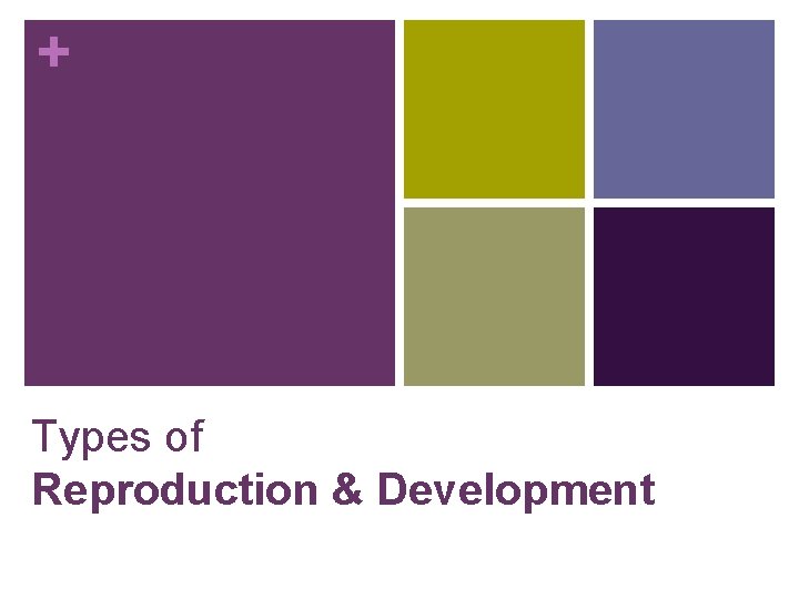 + Types of Reproduction & Development 