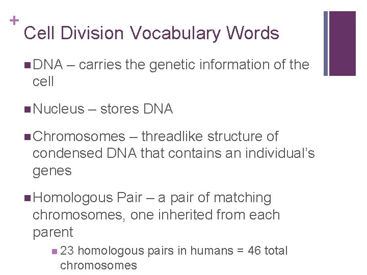 + Cell Division Vocabulary Words n DNA – carries the genetic information of the