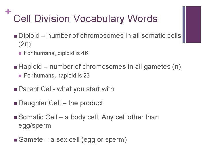 + Cell Division Vocabulary Words n Diploid – number of chromosomes in all somatic