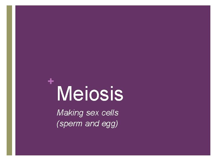 + Meiosis Making sex cells (sperm and egg) 