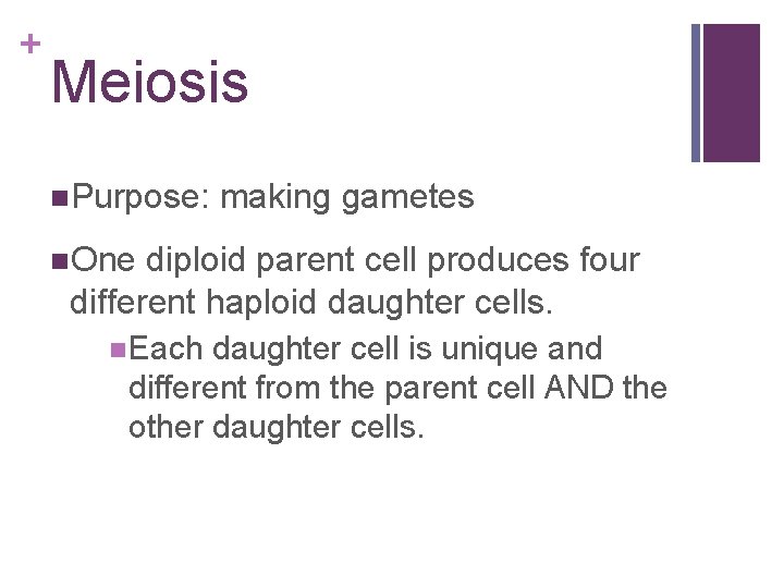 + Meiosis n. Purpose: making gametes n. One diploid parent cell produces four different