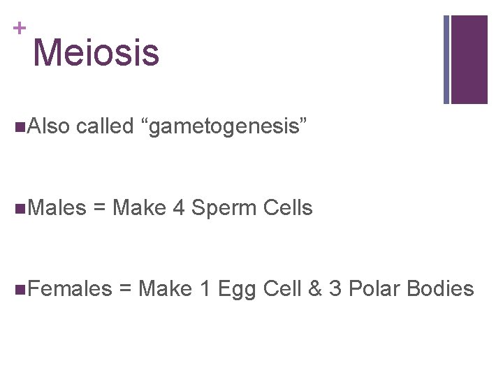 + Meiosis n. Also called “gametogenesis” n. Males = Make 4 Sperm Cells n.