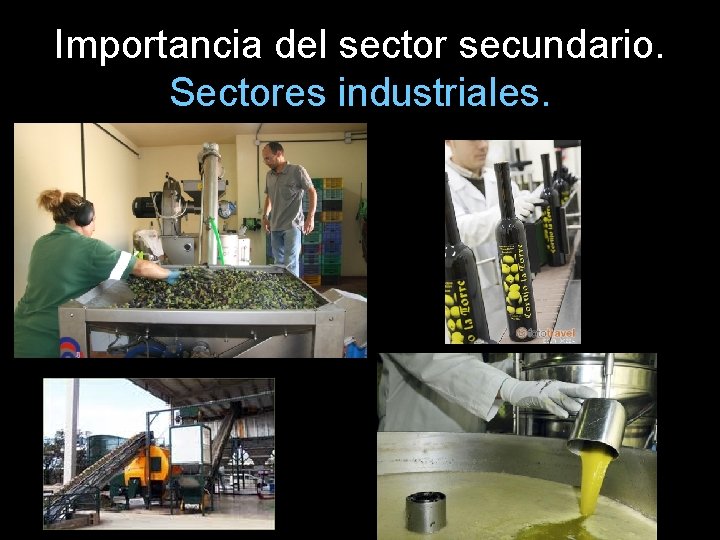 Importancia del sector secundario. Sectores industriales. 