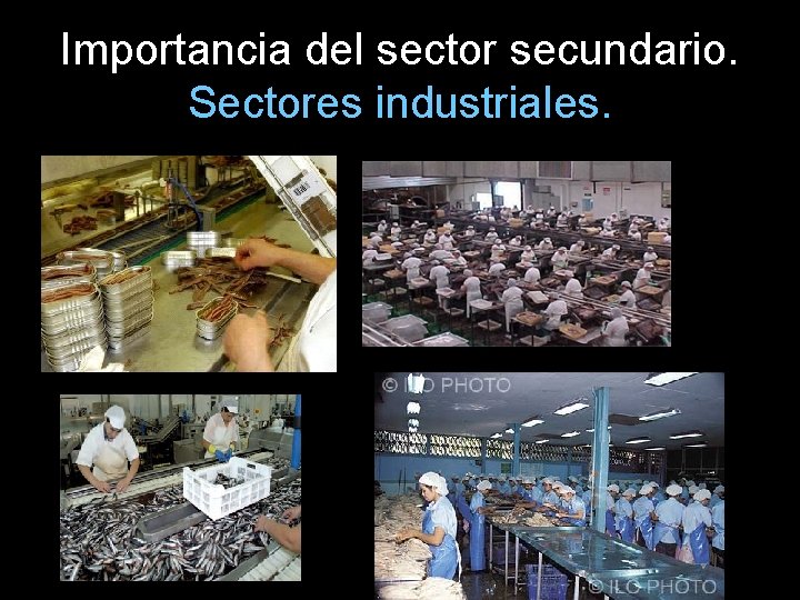 Importancia del sector secundario. Sectores industriales. 