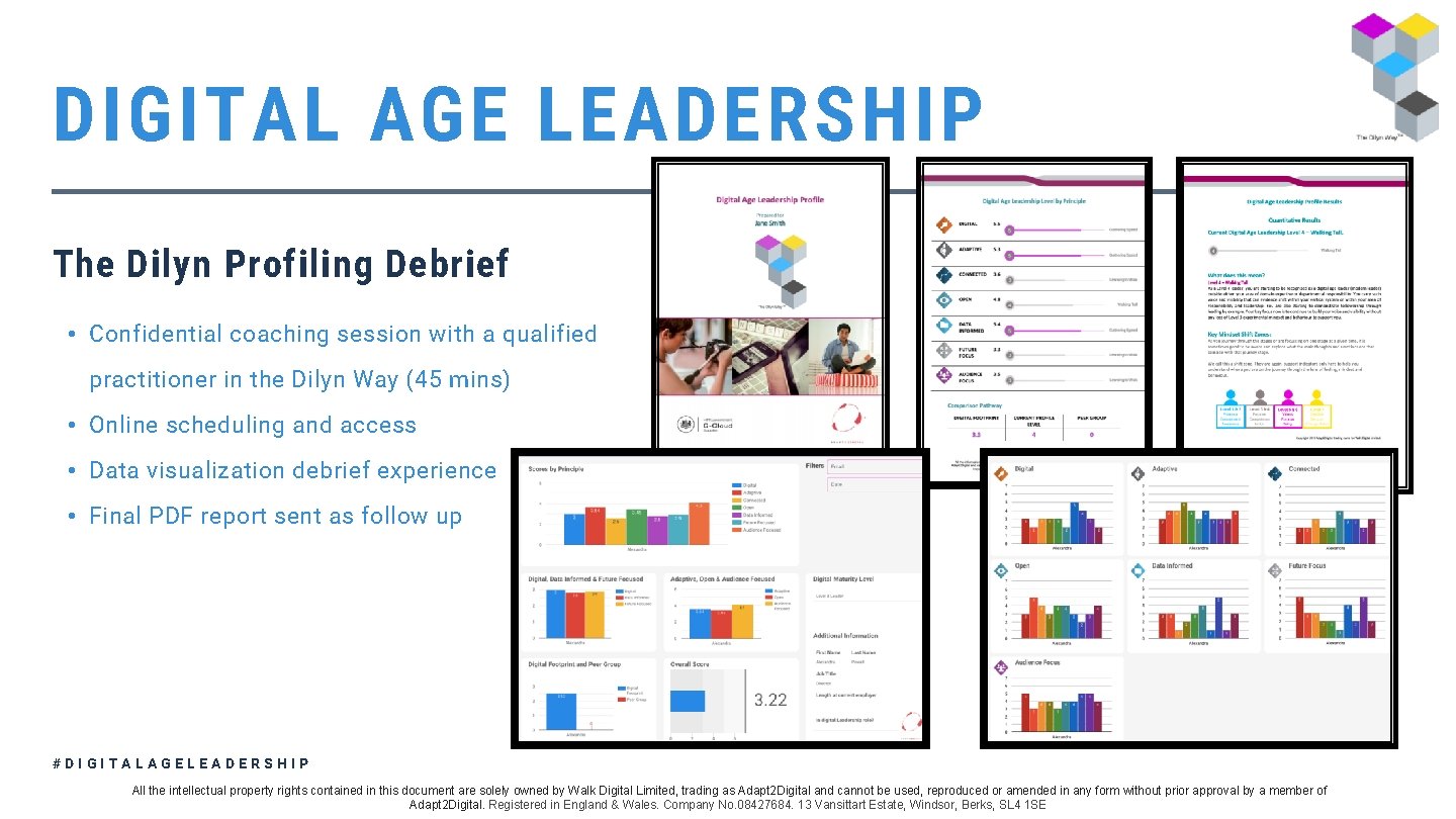 DIGITAL AGE LEADERSHIP The Dilyn Profiling Debrief • Confidential coaching session with a qualified
