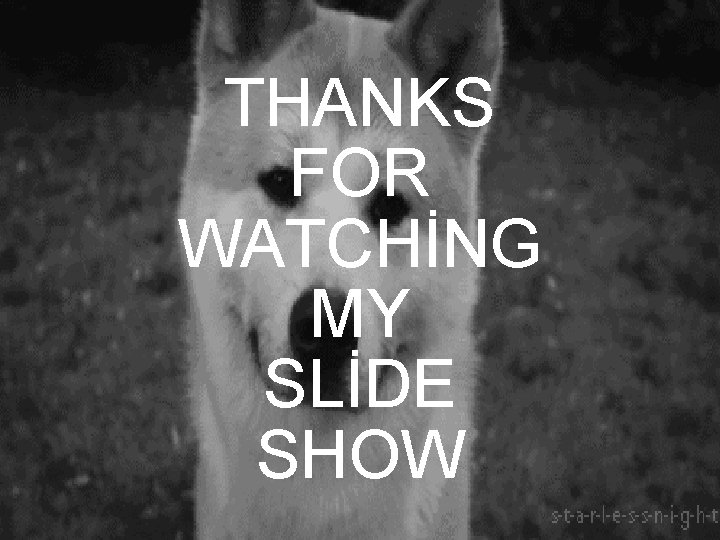 THANKS FOR WATCHİNG MY SLİDE SHOW 