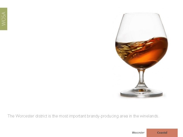 The Worcester district is the most important brandy-producing area in the winelands. 
