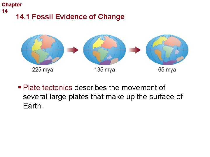 Chapter 14 The History of Life 14. 1 Fossil Evidence of Change § Plate