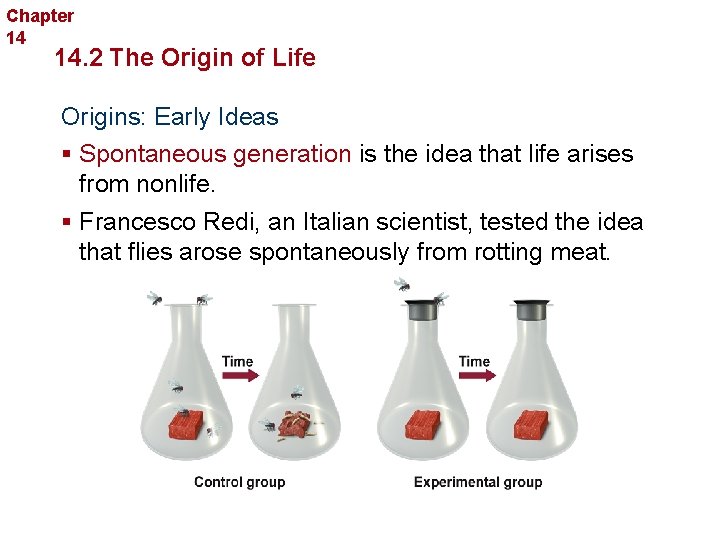 Chapter 14 The History of Life 14. 2 The Origin of Life Origins: Early