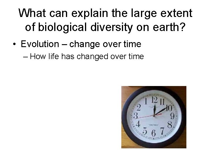 What can explain the large extent of biological diversity on earth? • Evolution –