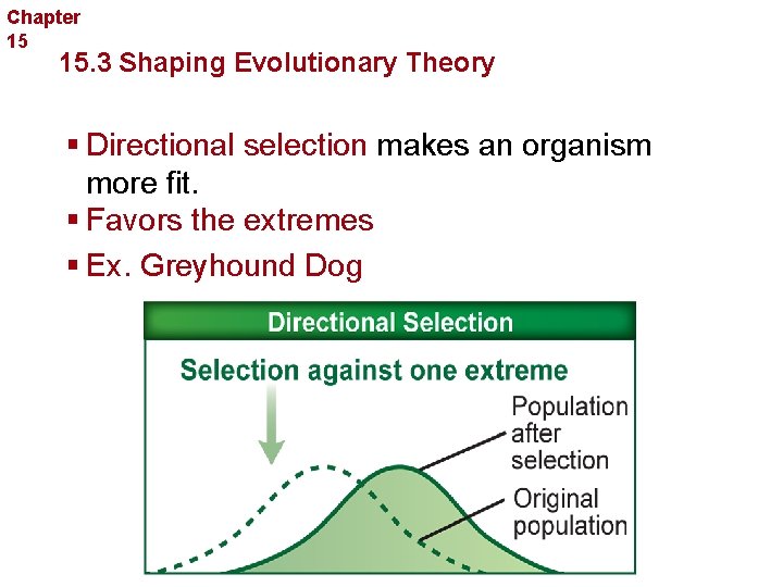 Chapter 15 Evolution 15. 3 Shaping Evolutionary Theory § Directional selection makes an organism