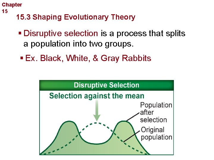 Chapter 15 Evolution 15. 3 Shaping Evolutionary Theory § Disruptive selection is a process