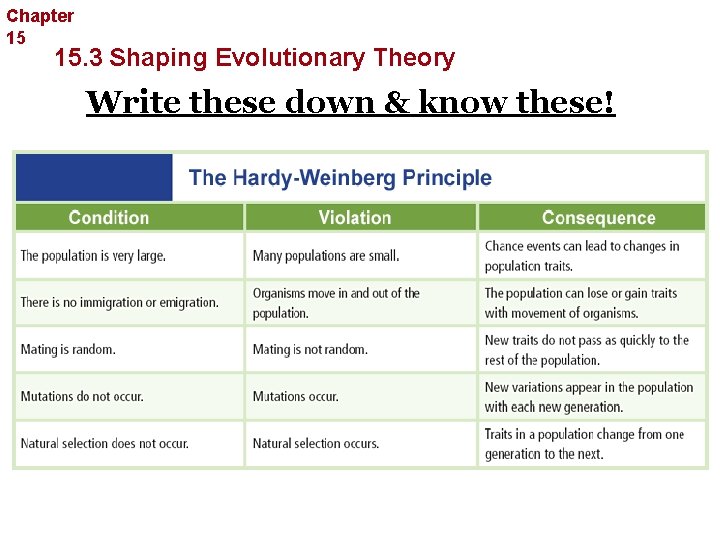 Chapter 15 Evolution 15. 3 Shaping Evolutionary Theory Write these down & know these!
