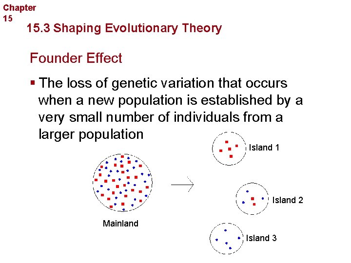 Chapter 15 Evolution 15. 3 Shaping Evolutionary Theory Founder Effect § The loss of