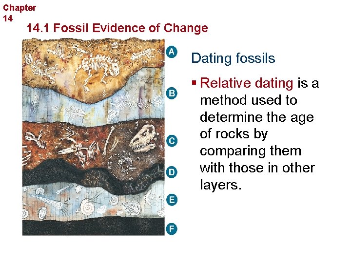 Chapter 14 The History of Life 14. 1 Fossil Evidence of Change Dating fossils