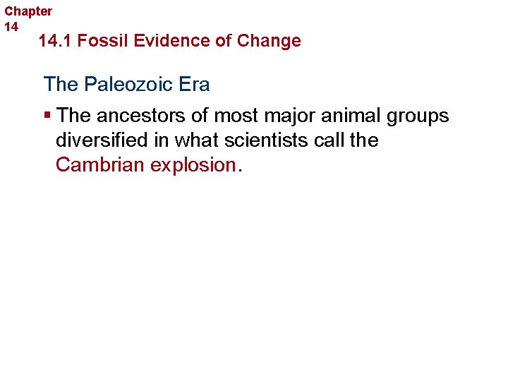 Chapter 14 The History of Life 14. 1 Fossil Evidence of Change The Paleozoic