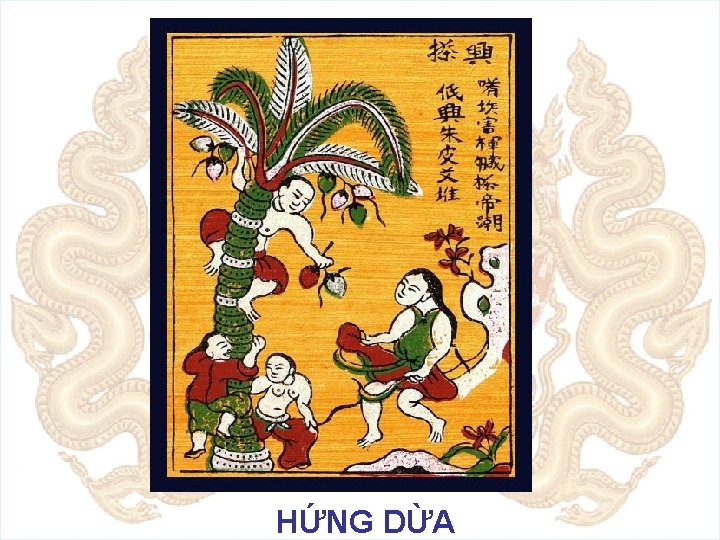 Hứng dừa HỨNG DỪA 