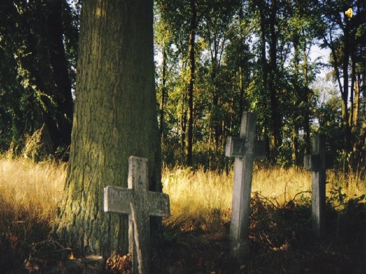 Po drugiej stronie kościoła od strony ulicy Strzelniczej: jeden to krzyż o wysokości 150