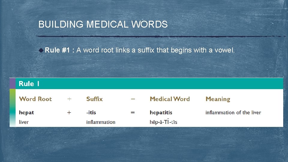 BUILDING MEDICAL WORDS u Rule #1 : A word root links a suffix that