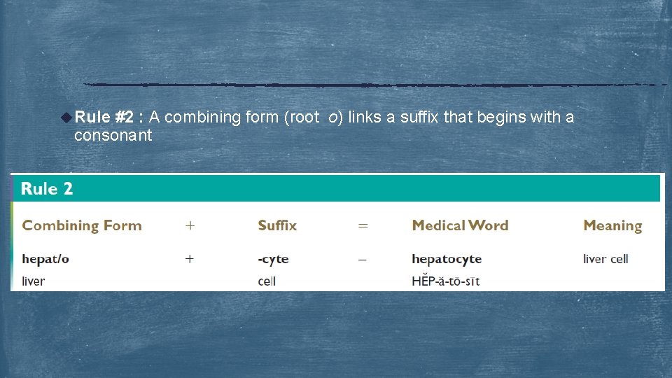 u Rule #2 : A combining form (root o) links a suffix that begins