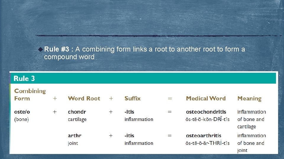 u Rule #3 : A combining form links a root to another root to