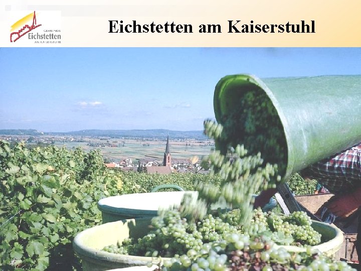 Eichstetten am Kaiserstuhl Bürgergemeinschaft Eichstetten, Sabine Lais 