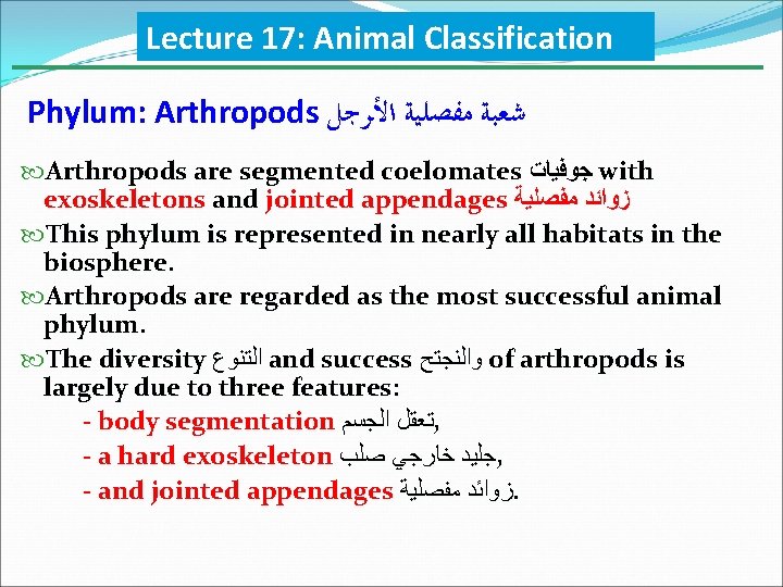 Lecture 17: Animal Classification Phylum: Arthropods ﺷﻌﺒﺔ ﻣﻔﺼﻠﻴﺔ ﺍﻷﺮﺟﻞ Arthropods are segmented coelomates ﺟﻮﻓﻴﺎﺕ