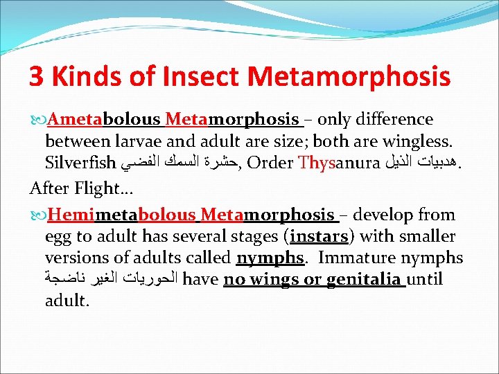 3 Kinds of Insect Metamorphosis Ametabolous Metamorphosis – only difference between larvae and adult