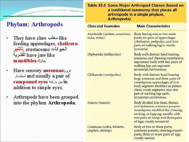 Phylum: Arthropods • They have claw ﻣﺨﻠﺐ like feeding appendages, chelicera ﺗآﺸﻴﺮ , ﺗآﺸﻴﺮ