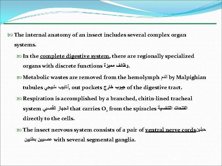  The internal anatomy of an insect includes several complex organ systems. In the