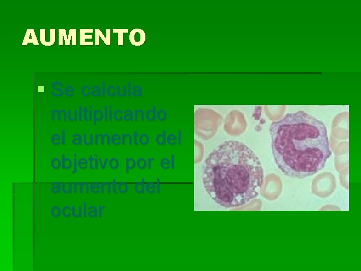 AUMENTO § Se calcula multiplicando el aumento del objetivo por el aumento del ocular AUMENTO § Se calcula multiplicando el aumento del objetivo por el aumento del ocular