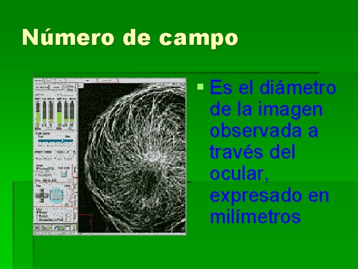 Número de campo § Es el diámetro de la imagen observada a través del Número de campo § Es el diámetro de la imagen observada a través del