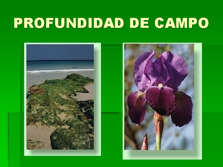 PROFUNDIDAD DE CAMPO PROFUNDIDAD DE CAMPO