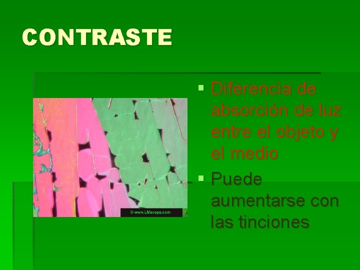 CONTRASTE § Diferencia de absorción de luz entre el objeto y el medio § CONTRASTE § Diferencia de absorción de luz entre el objeto y el medio §